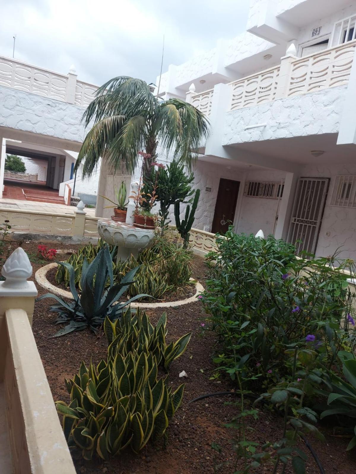 דירות ארונה Casa Papagayo מראה חיצוני תמונה