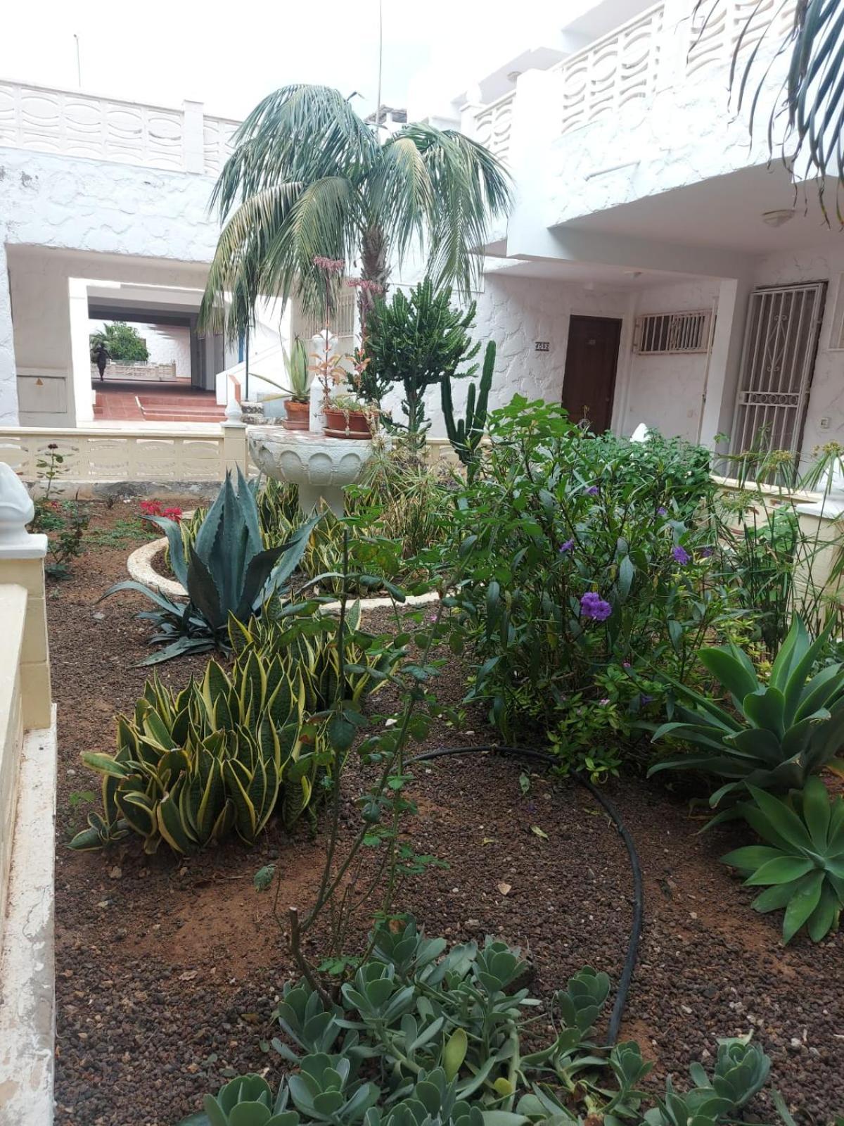 דירות ארונה Casa Papagayo מראה חיצוני תמונה