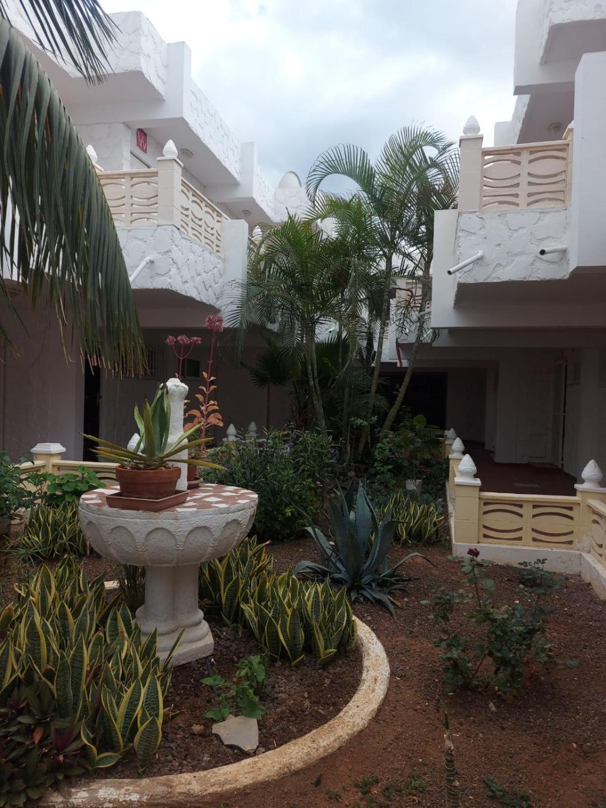 דירות ארונה Casa Papagayo מראה חיצוני תמונה